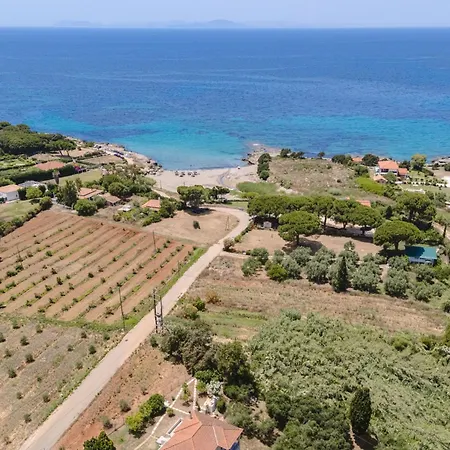 To Pournari Beachside Garden House - Happy Διαμέρισμα *